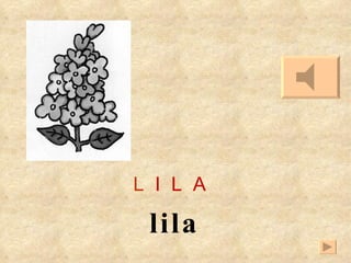 L   I   L   A lila 