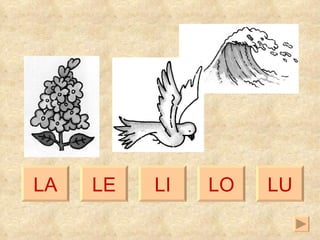 LA LE LI LO LU 