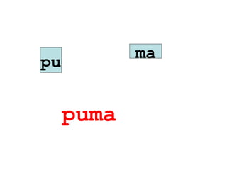 ma
pu


     puma
 