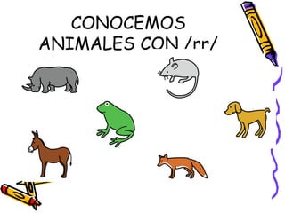 CONOCEMOS
ANIMALES CON /rr/
 