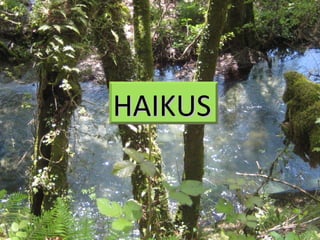 HAIKUS
 