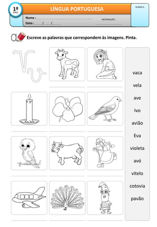 Escreve as palavras que correspondem às imagens. Pinta.
vaca
vela
ave
Ivo
avião
Eva
violeta
avó
vitelo
cotovia
pavão
Data : / /
INFORMAÇÃO :
Nome :
LÍNGUA PORTUGUESA1ºANO
RUBRICA :
 