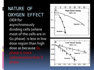 NATURE OF
OXYGEN EFFECT
OER for
asynchronously
dividing cells (where
most of the cells are in
G1 phase) is less in low
dose region than high
dose as because G1
phase is more
radiosensitive than S
phase
 