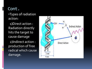 Cont.
•Types of radiation
action:
1)Direct action :
Radiation directly
hits the target to
cause damage
2)Indirect action :
production of free
radical which cause
damage.
 