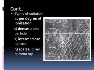 Cont.
 Types of radiation
as per degree of
ionization:
1) dense: alpha
particle
2) intermediate :
neutron
3) sparse : x ray ,
gamma ray
 