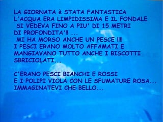 LA GIORNATA è STATA FANTASTICA
L'ACQUA ERA LIMPIDISSIMA E IL FONDALE
SI VEDEVA FINO A PIU' DI 15 METRI
DI PROFONDITA'!! ...
MI HA MORSO ANCHE UN PESCE !!!!
I PESCI ERANO MOLTO AFFAMATI E
MANGIAVANO TUTTO ANCHE I BISCOTTI
SBRICIOLATI...
C'ERANO PESCI BIANCHI E ROSSI
E I POLIPI VIOLA CON LE SFUMATURE ROSA...
IMMAGINATEVI CHE BELLO...
 
