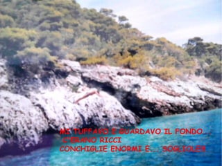 MI TUFFAVO E GUARDAVO IL FONDO...
C'ERANO RICCI
CONCHIGLIE ENORMI E... SOGLIOLE!!!
 