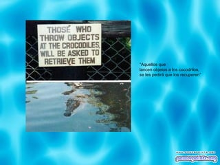 “ Aquellos que  lancen objetos a los cocodrilos,  se les pedirá que los recuperen” 