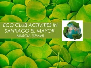 ECO CLUB ACTIVITIES IN
SANTIAGO EL MAYOR
MURCIA (SPAIN)

 