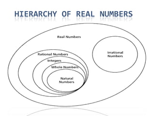 Hierarchy of real numbers 