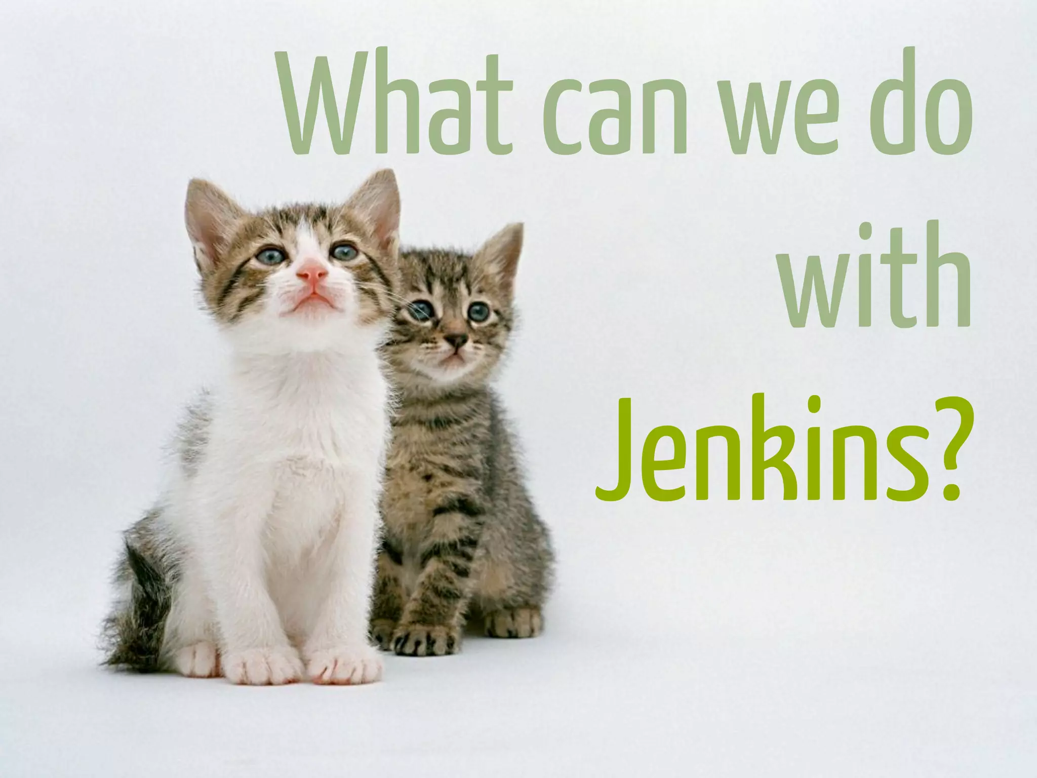 What can we do
          with
      Jenkins?
 