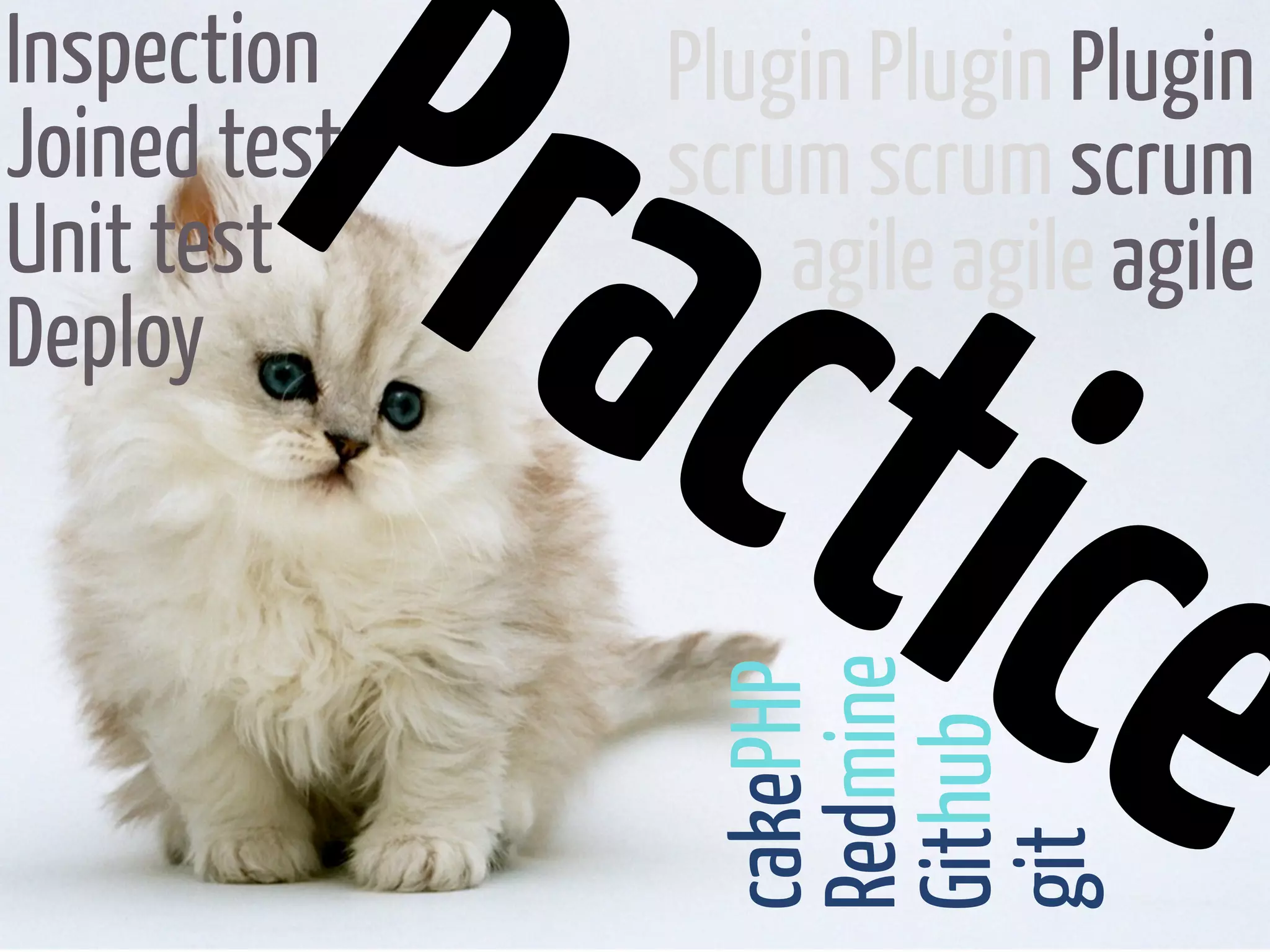 Pra
Inspection


              ctic
              Plugin Plugin Plugin
Joined test   scrum scrum scrum
Unit test         agile agile agile
Deploy



                  e
               Redmine
               cakePHP
               Github
               git
 