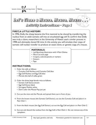 Lets clone a mouse | PDF