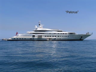 “ Pelorus” 