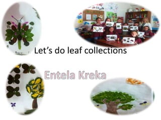 Let’s do leaf collections
 