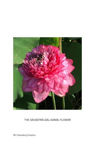 THE SĀHĀSTRĀ-DĀL-KĀMĀL FLOWER
40 I Decoding Creation
 