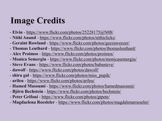 - Elvin - https://www.flickr.com/photos/25228175@N08/
- Nithi Anand - https://www.flickr.com/photos/nithiclicks/
- Geraint Rowland - https://www.flickr.com/photos/geezaweezer/
- Thomas Leuthard - https://www.flickr.com/photos/thomasleuthard/
- Alex Proimos - https://www.flickr.com/photos/proimos/
- Monica Semergiu - https://www.flickr.com/photos/monicasemergiu/
- Steve Evans - https://www.flickr.com/photos/babasteve/
- dawolf - https://www.flickr.com/photos/dawolf/
- shira gal - https://www.flickr.com/photos/miss_pupik/
- arileu - https://www.flickr.com/photos/arileu/
- Hamed Masoumi - https://www.flickr.com/photos/hamedmasoumi/
- Björn Bechstein - https://www.flickr.com/photos/bechstein/
- Peter Grifoni - https://www.flickr.com/photos/gtpete/
- Magdaelena Roesleler - https://www.flickr.com/photos/magdalenaroeseler/
Image Credits
 