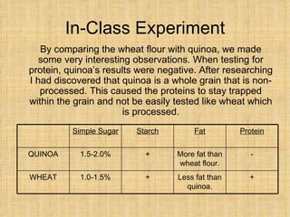 In-Class Experiment <ul><li>By comparing the wheat flour with quinoa, we made some very interesting observations. When tes...