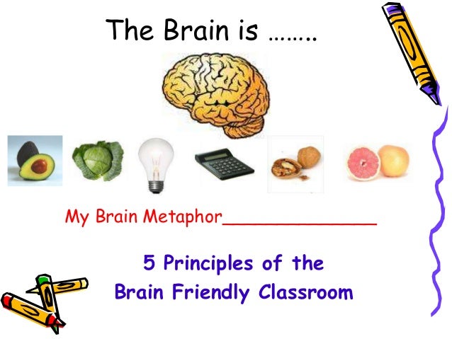 Enhancing memory supplements photo 6