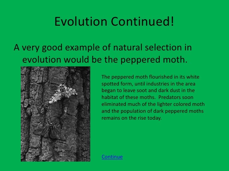 Explain How The Process Of Natural Selection Works Explain How The Process Of Natural Selection Works
