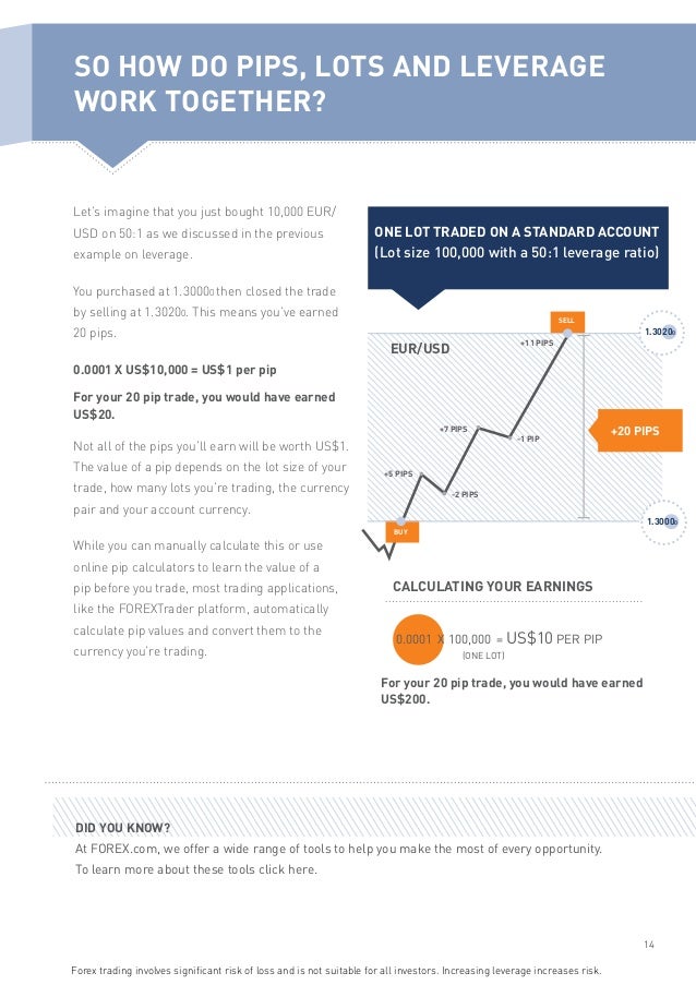 20 pips 'n dag forex