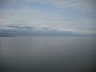 Lets give nature_a_hand