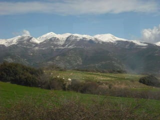 Lets give nature_a_hand