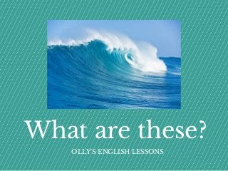 What are these?
OLLY'S ENGLISH LESSONS
 