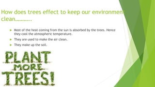 How does trees effect to keep our environment
clean………..
 Most of the heat coming from the sun is absorbed by the trees. Hence
they cool the atmospheric temperature.
 They are used to make the air clean.
 They make up the soil.
 
