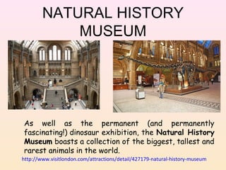 NATURAL HISTORY
MUSEUM

As well as the permanent (and permanently
fascinating!) dinosaur exhibition, the Natural History
Museum boasts a collection of the biggest, tallest and
rarest animals in the world.
http://www.visitlondon.com/attractions/detail/427179-natural-history-museum

 