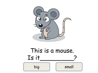 This is a mouse.
Is it_________?
big small
 