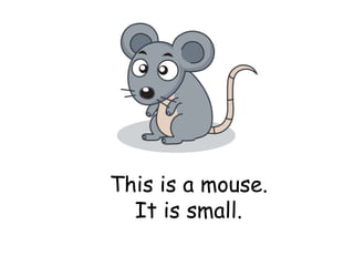 This is a mouse.
It is small.
 