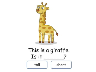 This is a giraffe.
Is it ______?
tall short
 