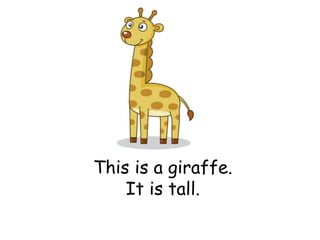 This is a giraffe.
It is tall.
 