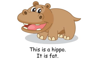 This is a hippo.
It is fat.
 