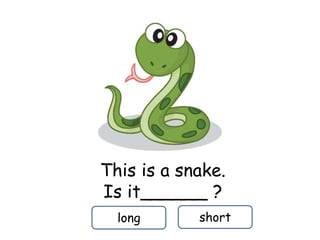 This is a snake.
Is it______ ?
long short
 