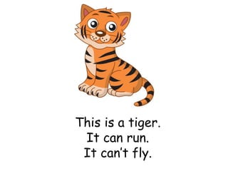 This is a tiger.
It can run.
It can’t fly.
 