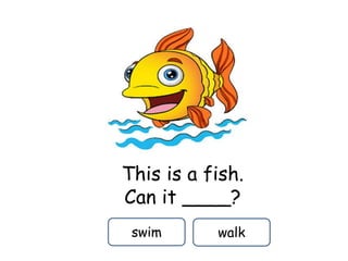 This is a fish.
Can it ____?
swim walk
 