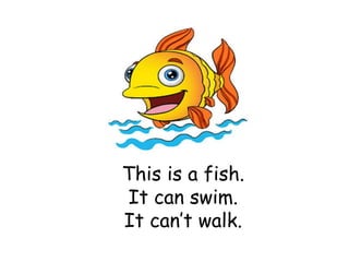 This is a fish.
It can swim.
It can’t walk.
 
