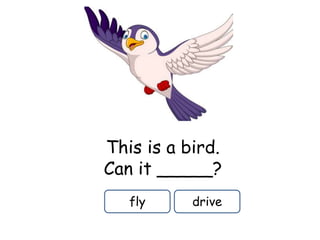 This is a bird.
Can it _____?
fly drive
 
