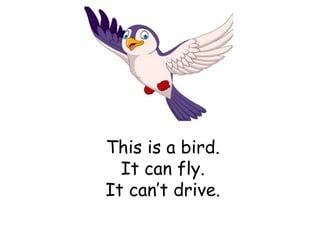 This is a bird.
It can fly.
It can’t drive.
 