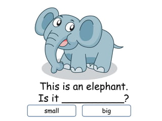 This is an elephant.
Is it __________?
small big
 