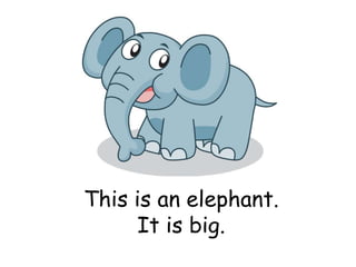 This is an elephant.
It is big.
 
