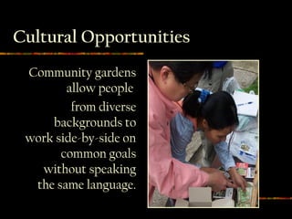 Cultural Opportunities
 Community gardens
        allow people
         from diverse
     backgrounds to
 work side-by-side on
       common goals
   without speaking
  the same language.
 