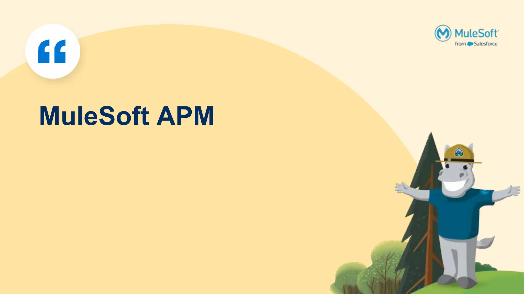 MuleSoft APM
 