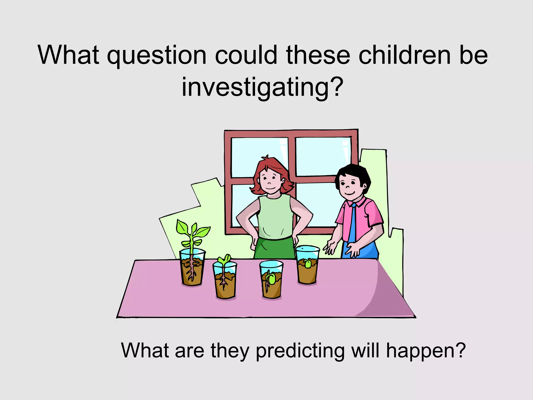 What question could these children be
investigating?
What are they predicting will happen?
 