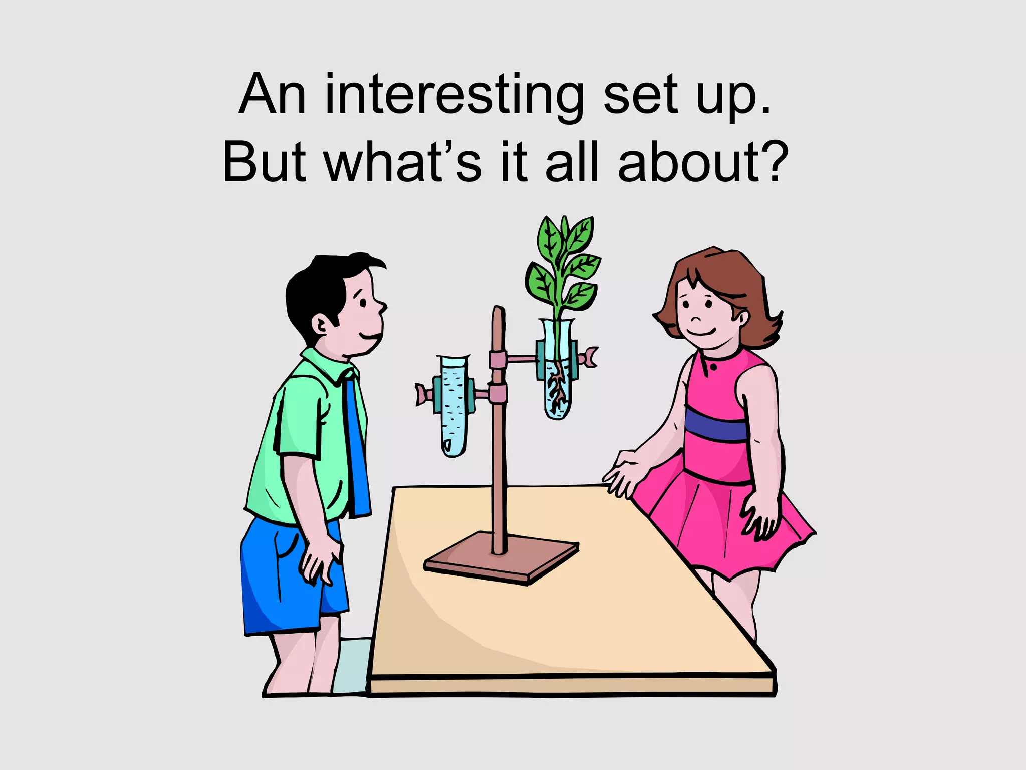 An interesting set up.
But what’s it all about?
 