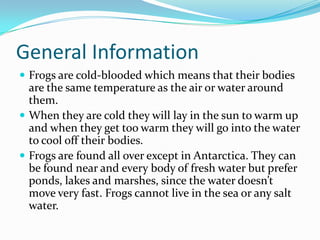 General Information
 Frogs are cold-blooded which means that their bodies

are the same temperature as the air or water around
them.
 When they are cold they will lay in the sun to warm up
and when they get too warm they will go into the water
to cool off their bodies.
 Frogs are found all over except in Antarctica. They can
be found near and every body of fresh water but prefer
ponds, lakes and marshes, since the water doesn’t
move very fast. Frogs cannot live in the sea or any salt
water.

 