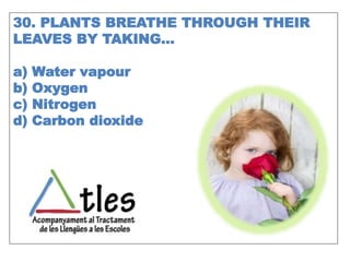 30. PLANTS BREATHE THROUGH THEIR
LEAVES BY TAKING…
a) Water vapour
b) Oxygen
c) Nitrogen
d) Carbon dioxide
 