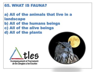 65. WHAT IS FAUNA?
a) All of the animals that live in a
landscape
b) All of the humans beings
c) All of the alive beings
d) All of the plants
 